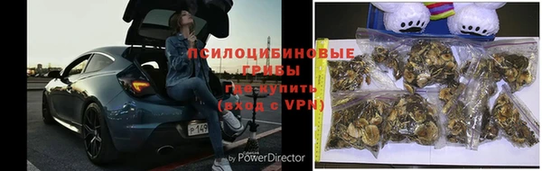 spice Аркадак