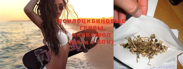 spice Аркадак
