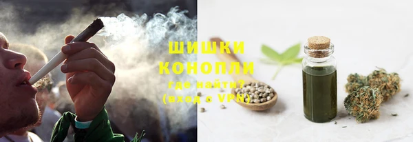 spice Аркадак