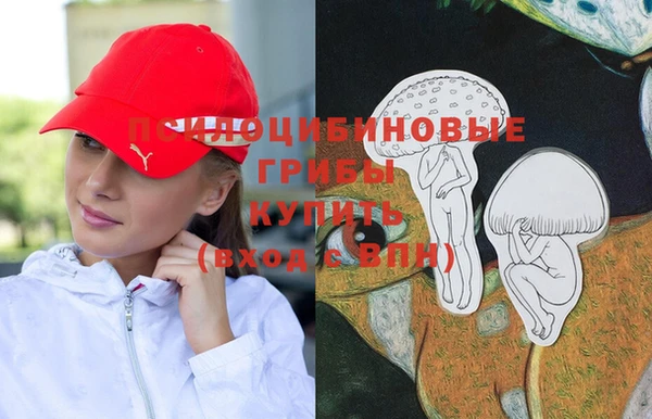 прущие крисы Армянск