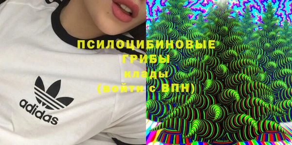 прущие крисы Армянск