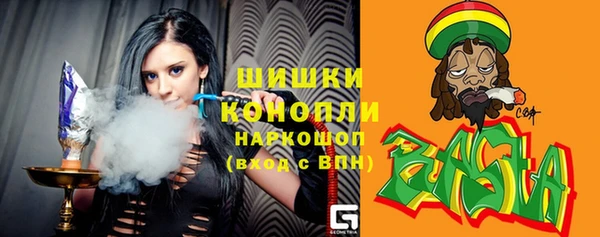 spice Аркадак