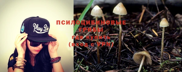 прущие крисы Армянск