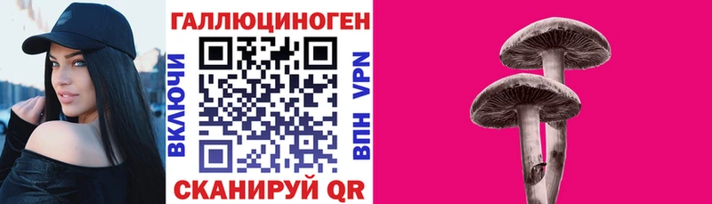 Галлюциногенные грибы Magic Shrooms  как найти закладки  Чишмы 